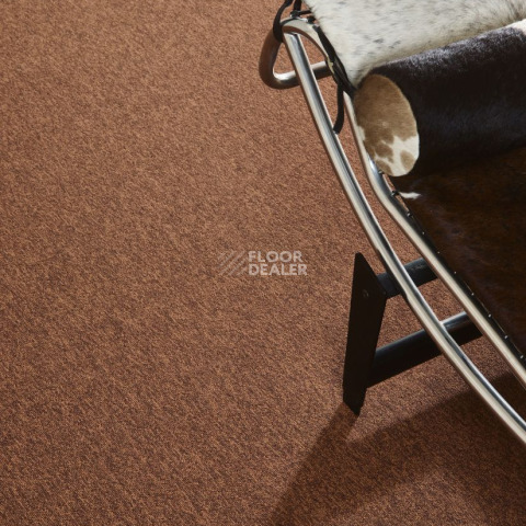 Bloq Tradition Tradition 605 фото 4 | FLOORDEALER
